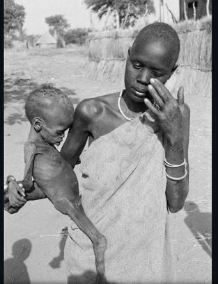 image-20250823220804924